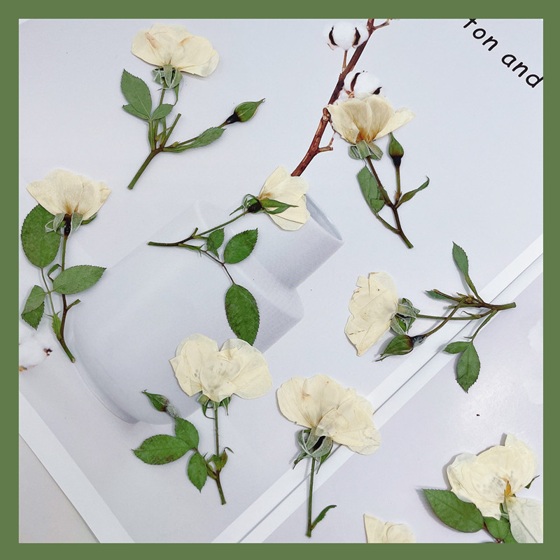 12 ชิ้น กิ่งกุหลาบสีขาว ชมพู แ - Wedding Card Box บทวิจารณ์และราคา